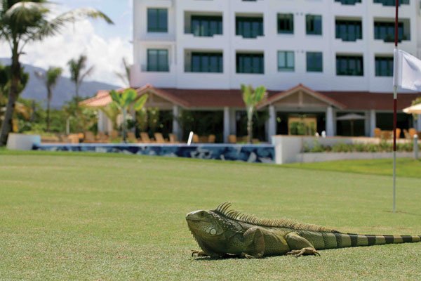 rio-mar-edif-iguana-golf.jpg