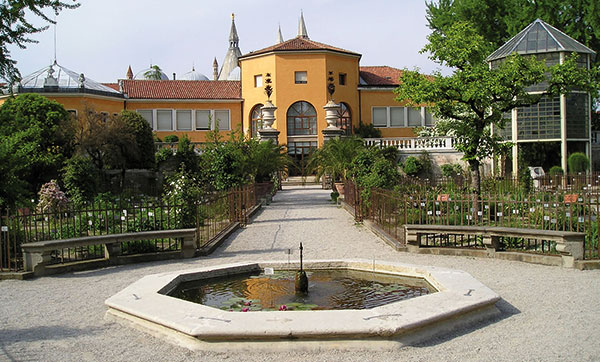 Jardín botánico Padua - junto a la facultad de medicina.