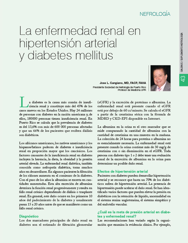 La enfermedad renal en hipertensión arterial y diabetes mellitus