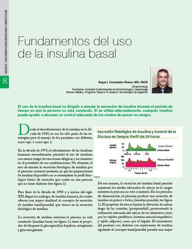 Fundamentos del uso de la insulina basal