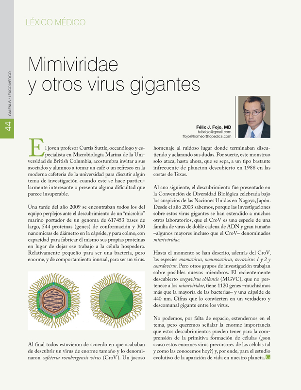 Léxico Médico: Mimiviridae  y otros virus gigantes