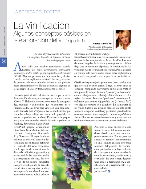 La Bodega del Doctor: La Vinificación: Algunos conceptos básicos en  la elaboración del vino